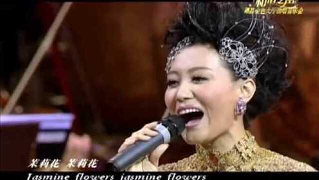 当中国名曲《茉莉花》唱响维也纳金色大厅时,全场为之掌声雷动!