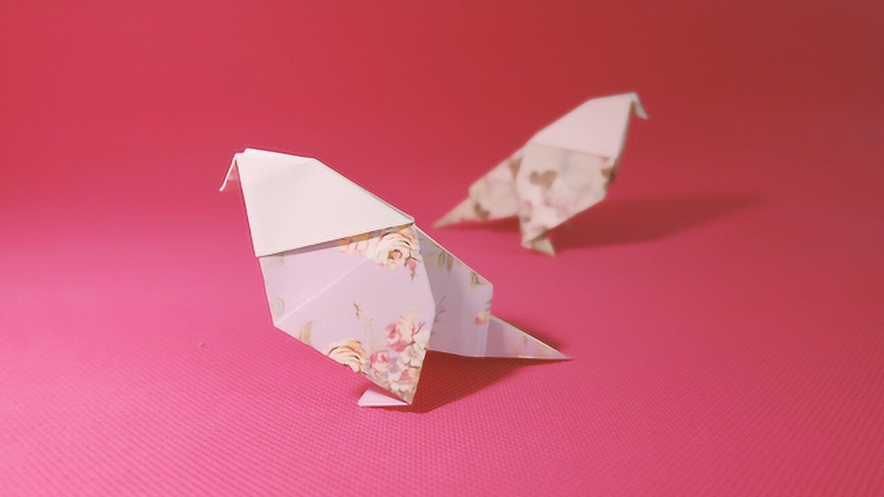 ֹֽdiy,һֻ򵥵ĸ,ղ۸!