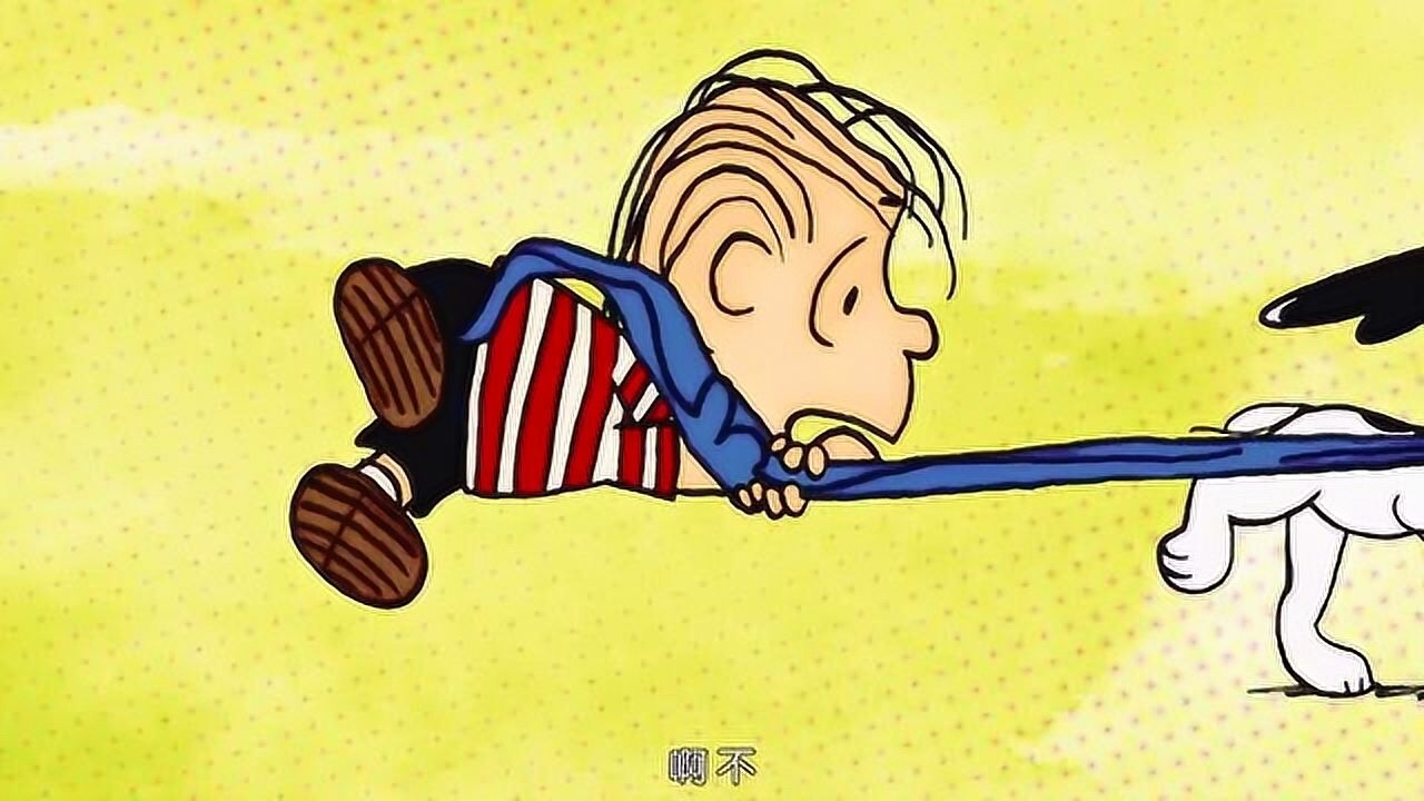 史努比莱纳斯史努比如果可以的话最好不要去市里