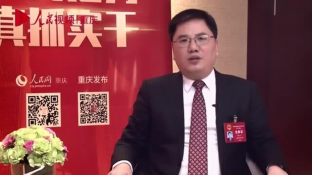 两会ⷨ𐈠唐小平:立足国家高新区平台 强力推进铜梁“工业振兴”