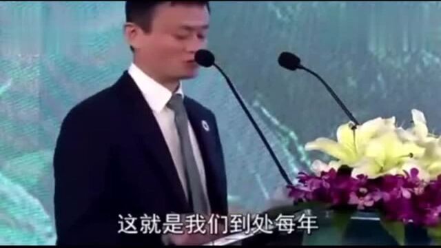 马云让“互联网+公益”回到慈善初心公益代表一个人的善心