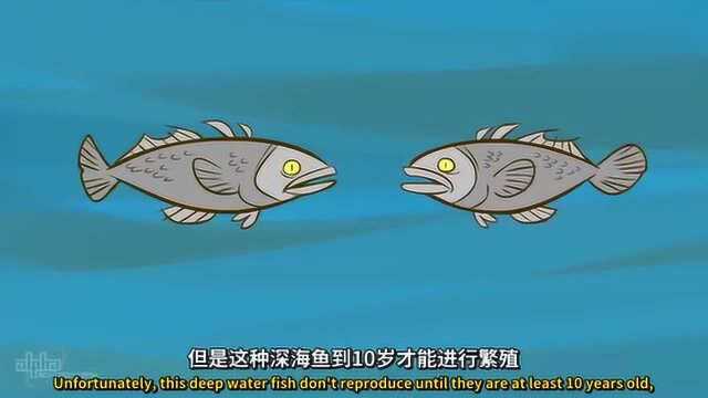 冷知识:你以为海洋资源取之不尽?其实它们终将有枯竭的一天