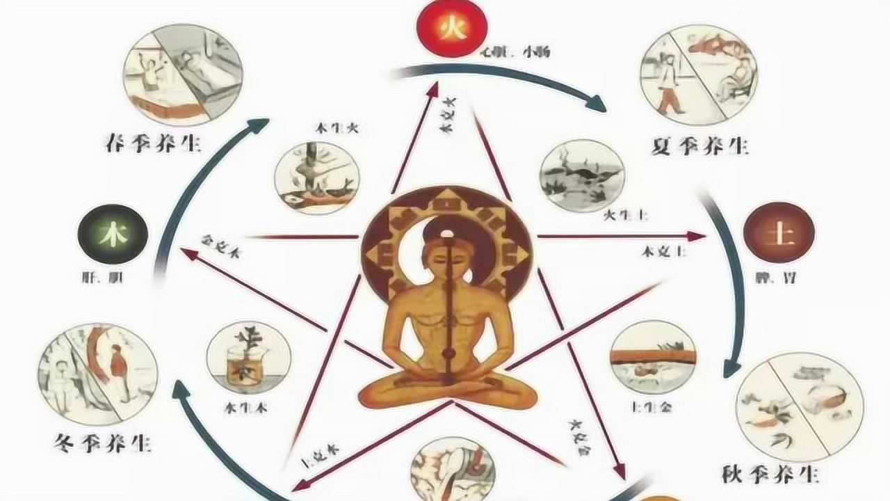 五脏真的对应五行吗易学大师为你解读五行五脏的内在联系_高清1080P在线观看平台_腾讯视频