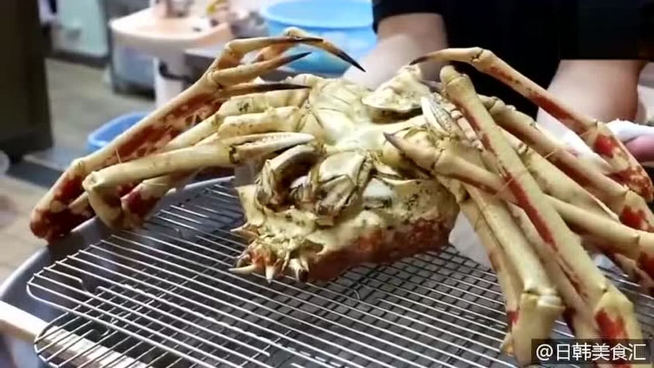 日本价值500刀的巨型蜘蛛蟹满满的蟹肉