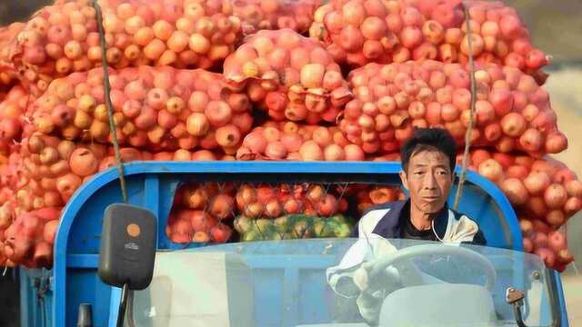 勿要让“助农”水果捆绑善良营销,到头来吃亏的还是果农