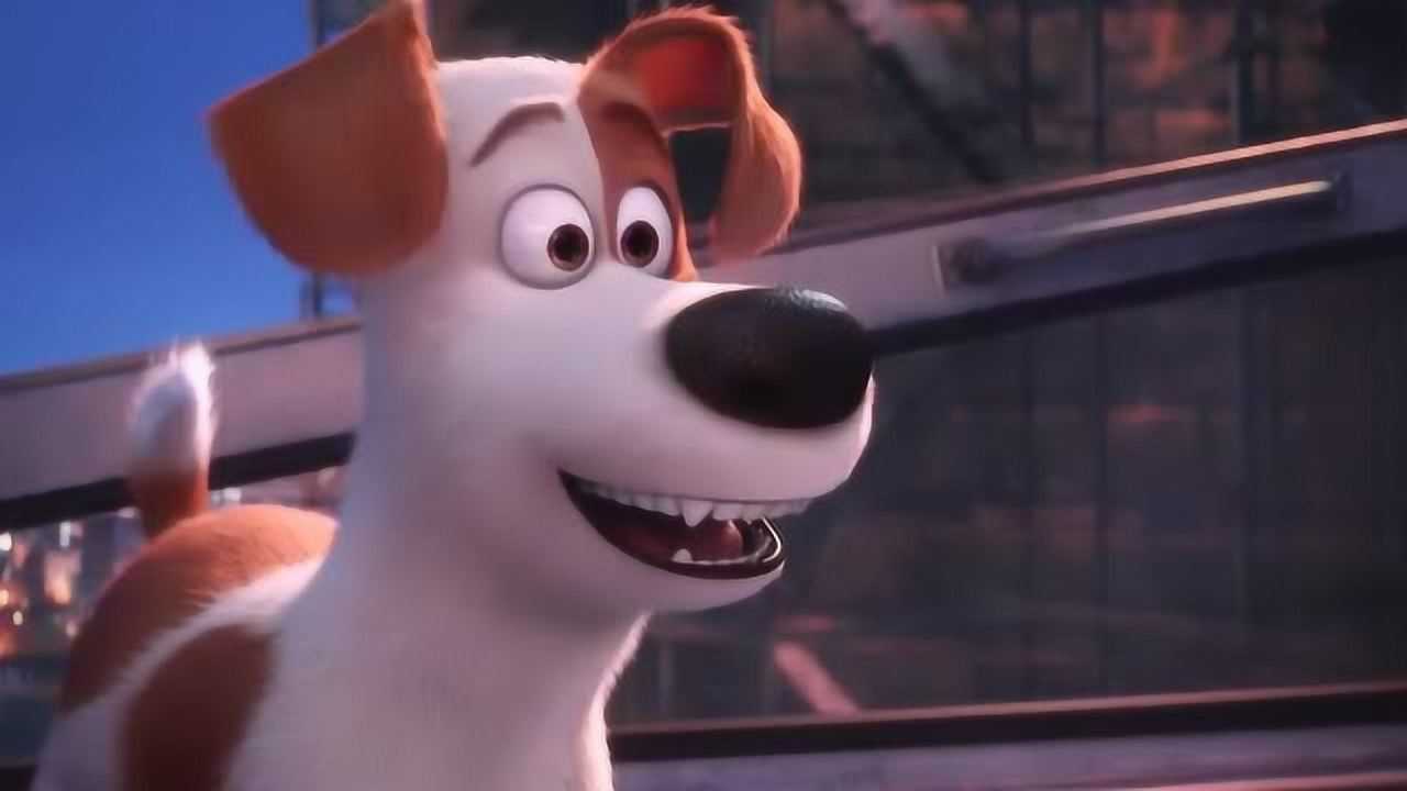 爱宠大机密麦克能够成功的救出杜老大吗