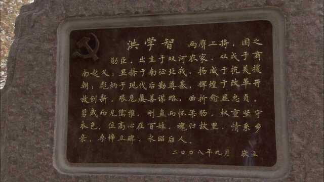 上将洪学智在北京逝世,骨灰安放于家乡烈士陵园,情系百姓永照后人