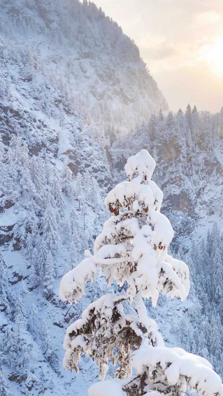 白雪皑皑银装素裹