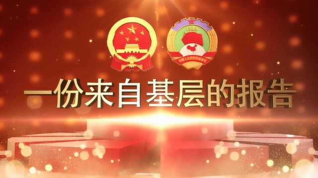 一份来自基层的报告:代表委员谈发展成果