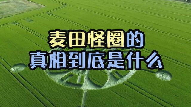 外星人来了?麦田怪圈真相到底是什么?真的那么神秘?