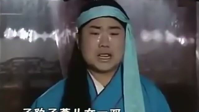 黄梅戏《杀子报》选段,眉目传神惟妙惟肖