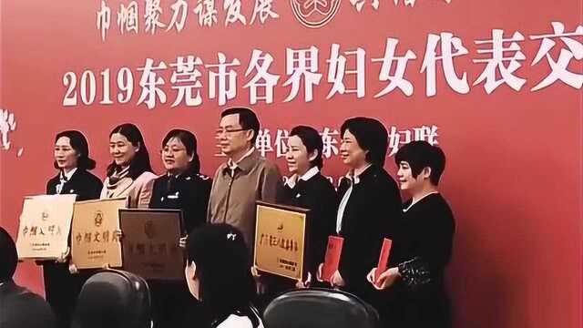 巾帼聚力谋发展!东莞召开各界妇女代表交流会