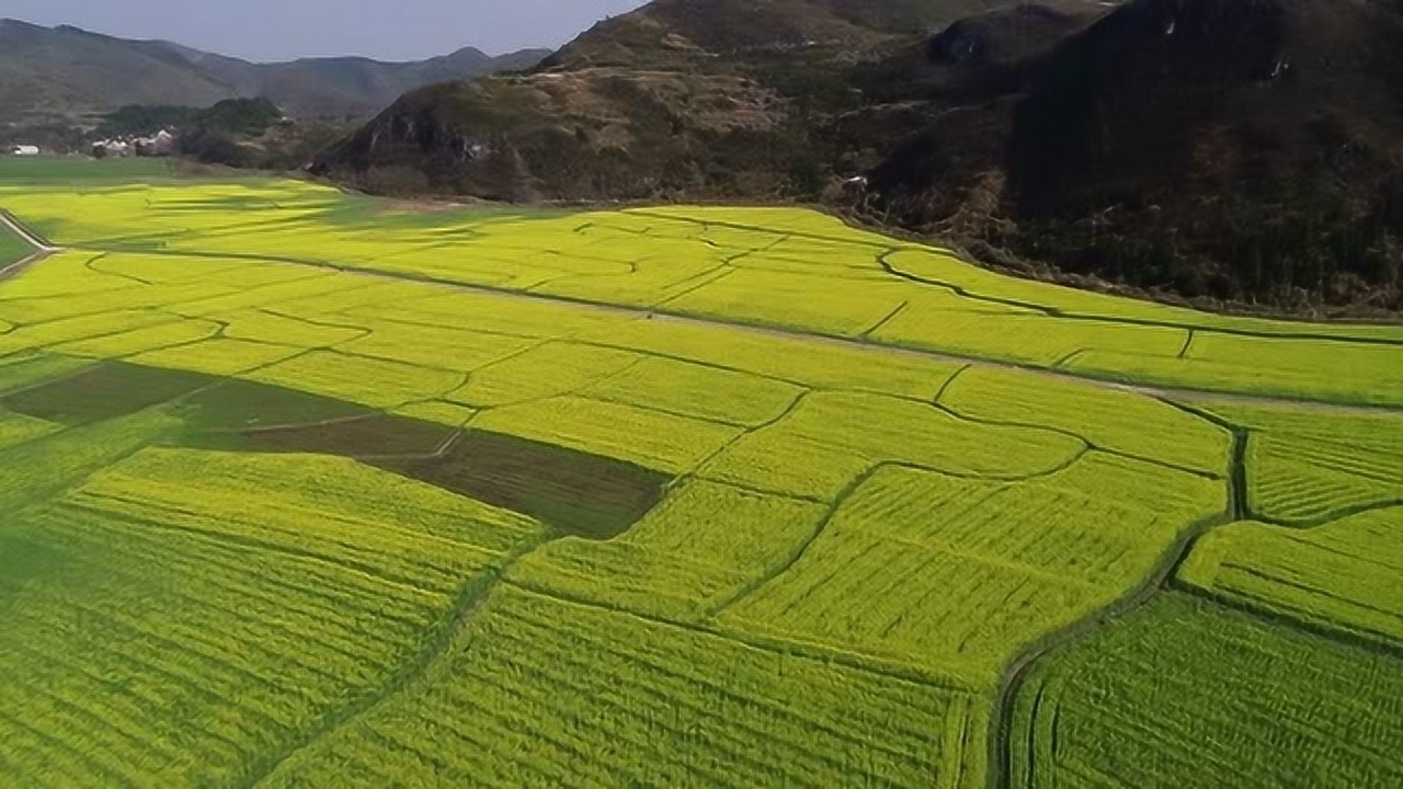 航拍宜章杨梅山镇平和洞油菜花