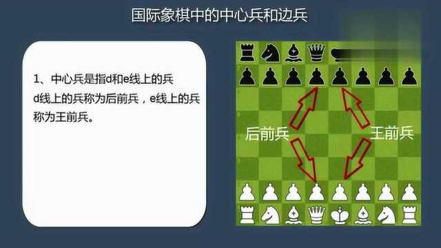 国际象棋入门教程:基本知识二中心兵和边兵