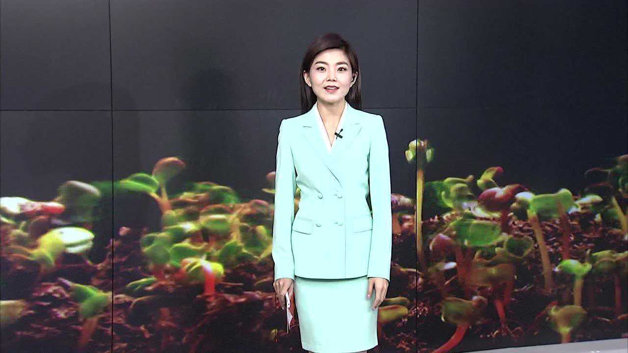 主持人张晓雪的个人频道