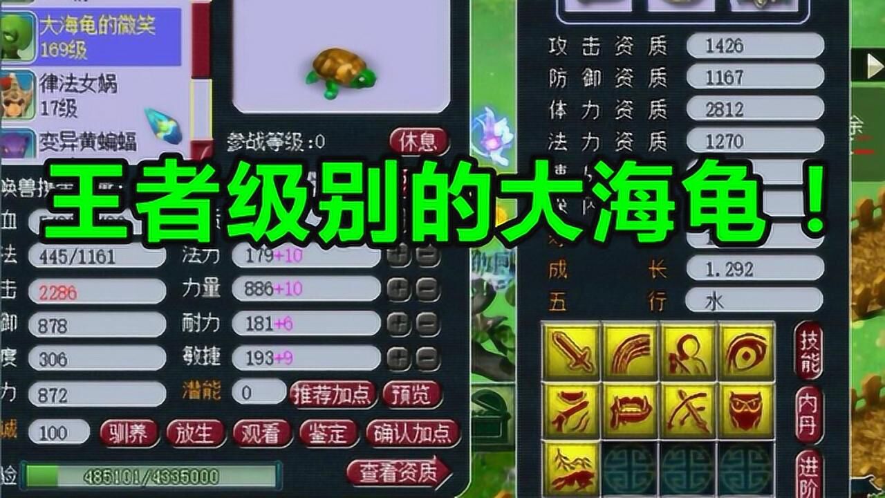 梦幻西游159玩家身戴5只个性宠9j海龟1292比王谢的都好