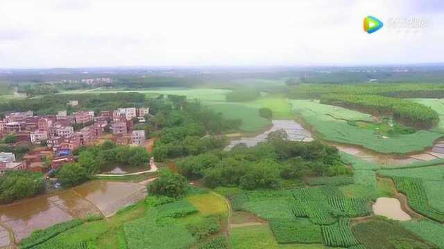 大地风水 第07集