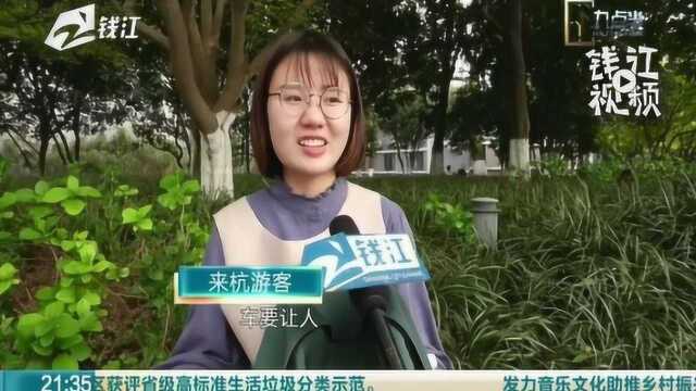 西湖“慢行”:来杭游客 杭州市民对此观点如何?