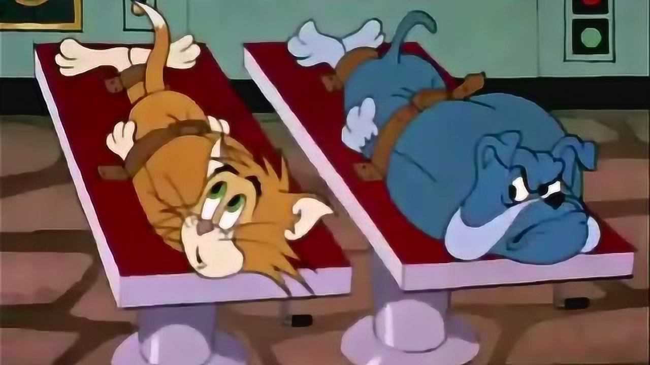 猫和老鼠监狱里关了好多的猫冯博士拿来做实验