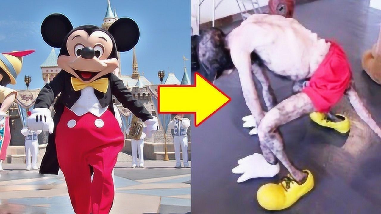 迪士尼乐园的恐怖传说图片