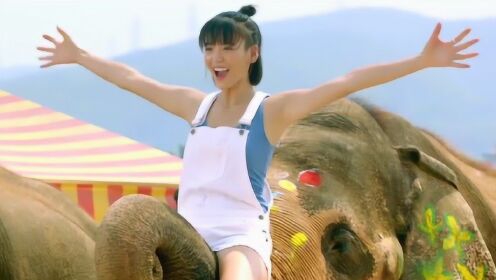 刘青云联手尤靖茹入局动物电影，好几吨的大象当宠物，萌翻了