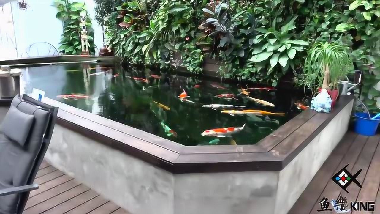 室内大型豪华锦鲤鱼池这鱼池加过滤我家都放不下