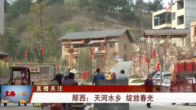 郧西:天河水乡绽放春光 游客络绎不绝