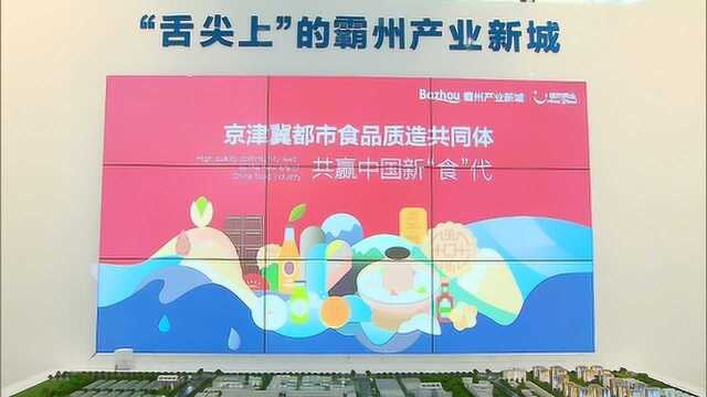 霸州市 三融入京津冀协同发展大局 打造县域经济新动能