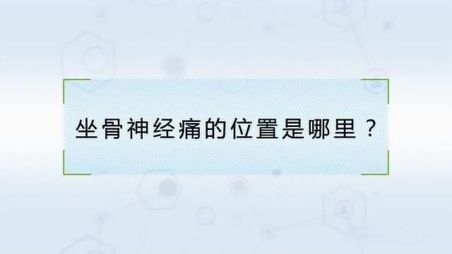 坐骨神经在什么位置?