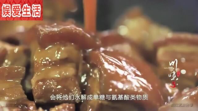 《舌尖上的中国》:四川荥经砂锅炖肉,把我看饿了