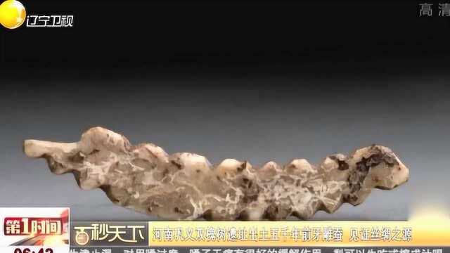 河南巩义双槐树遗址出土5000年前牙雕蚕,见证丝绸之源