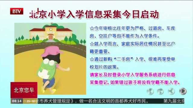 注意填报!北京小学入学信息采集今日启动