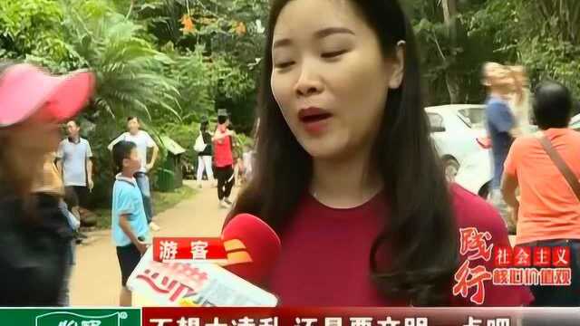 热心参与志愿服务 外籍少年倡导文明旅游