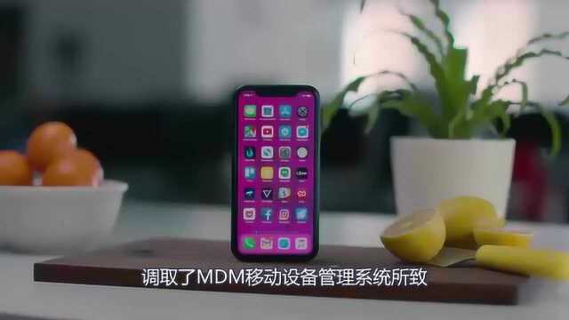 苹果禁止第三方调取设备管理器,引轩然大波,并劝诫孩子少用iPhone