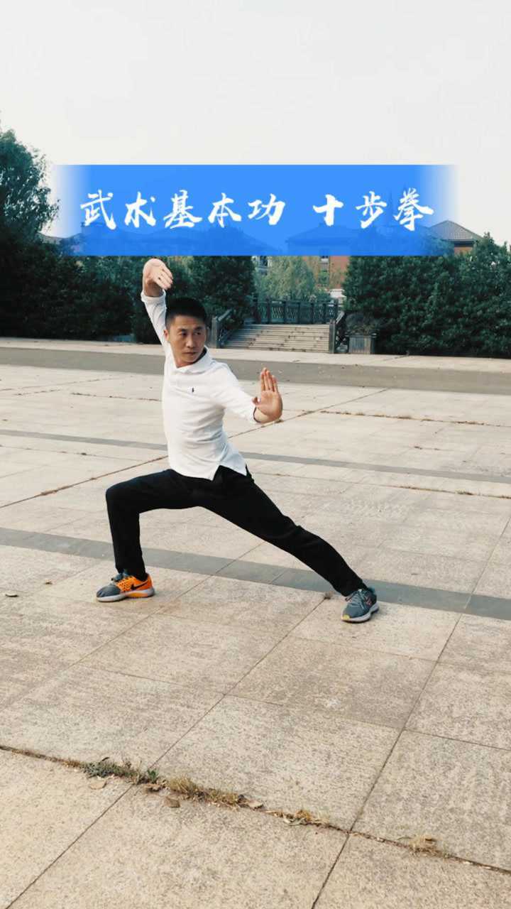 武术基本功十步拳演练