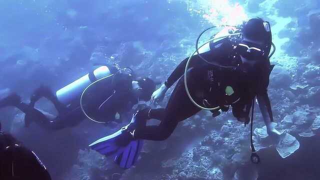 Scuba Diving in Philippines