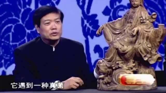 父亲从上海收购了一件宝贝,称是沉香木,特意找专家鉴定!