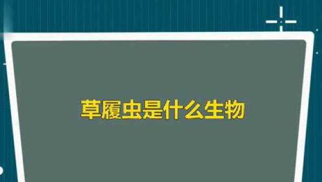 草履虫是什么生物,是如何繁殖的