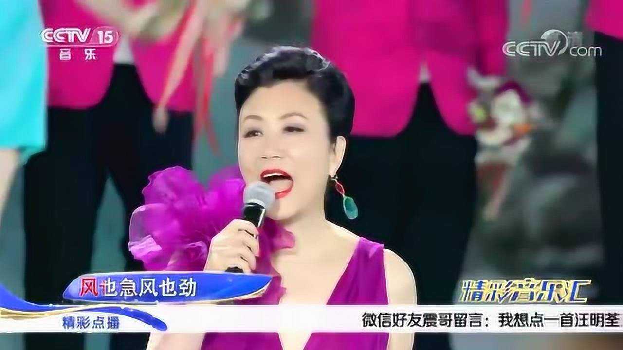 歌曲《萬水千山總是情》演唱:汪明荃