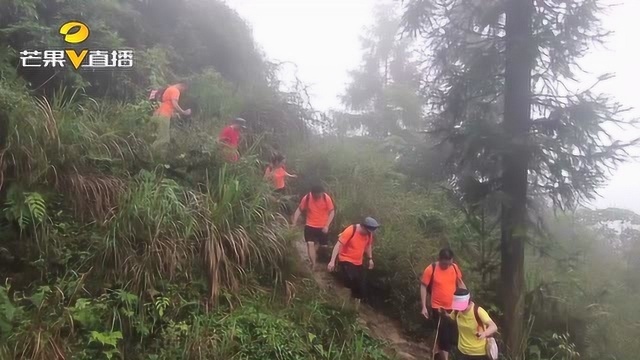 重走红军路,2000名户外活动爱好者徒步穿越大湘西