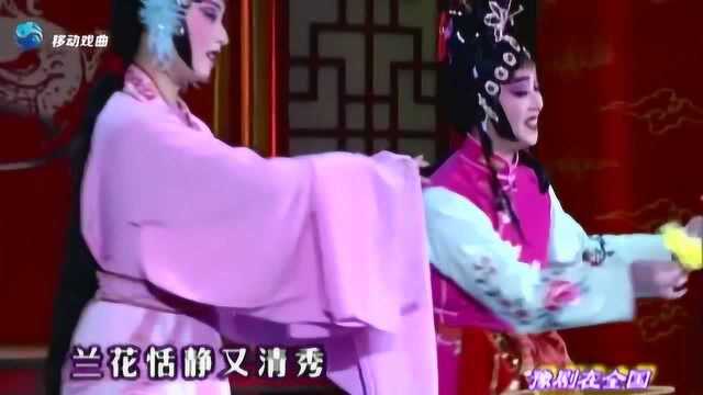 王会老师登台演绎经典豫剧选段《站花墙》神态自然引台下掌声不断