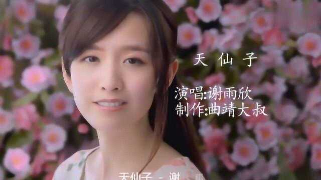 谢雨欣一曲《天仙子》很多人没听过也听不懂,听懂后却难忘怀