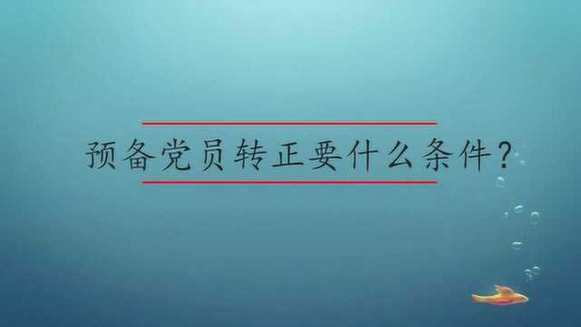 预备党员转正需要什么条件