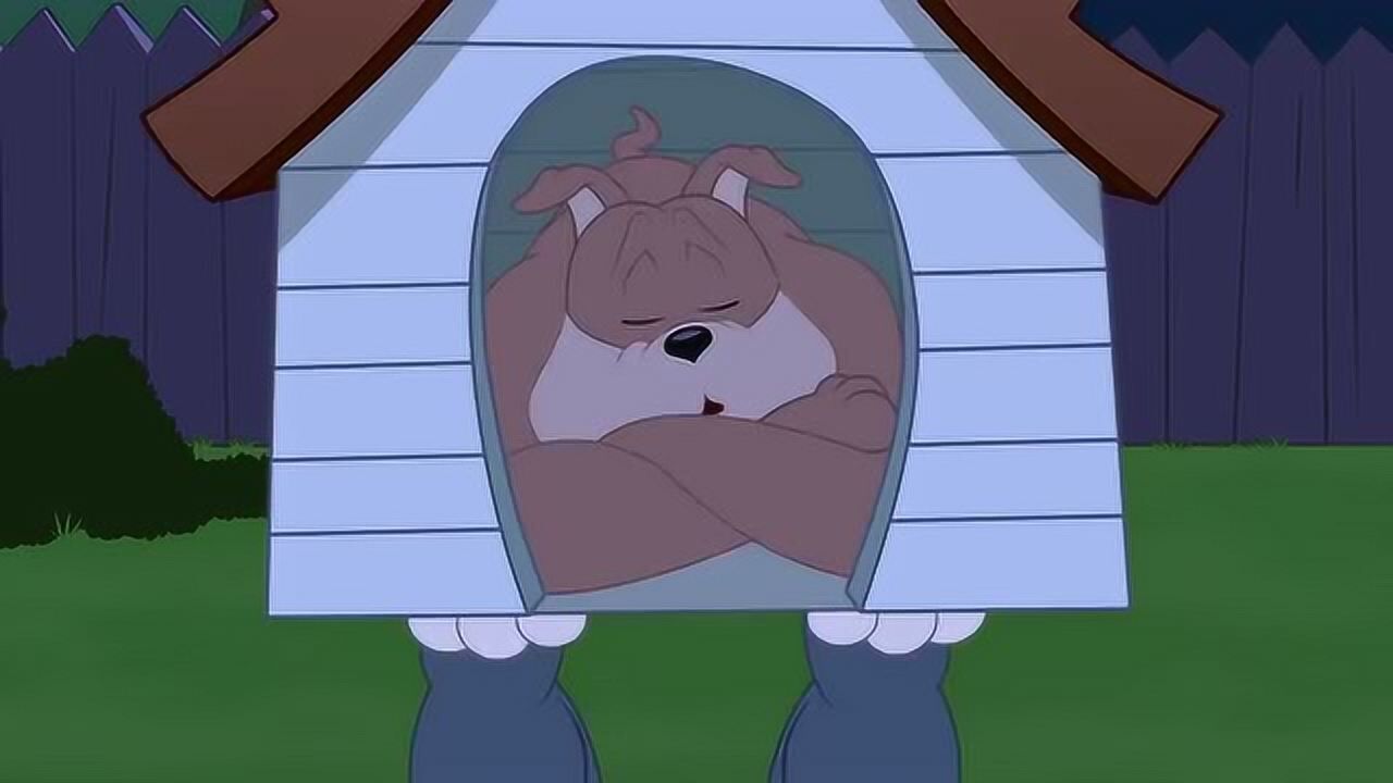 猫和老鼠的健身比赛汤姆猫变成肌肉王大力士