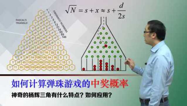 如何计算弹珠游戏的中奖概率?杨辉三角有什么特点?如何应用?