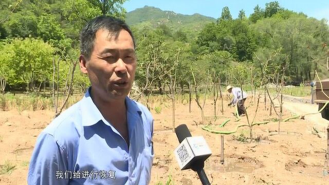 延庆区领导到香营乡推动重点难点问题解决