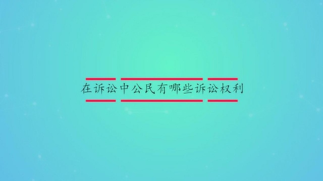 在诉讼中公民有哪些诉讼权利