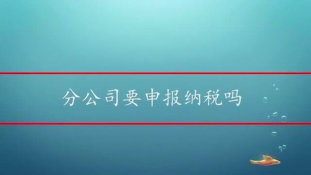 分公司需要申报纳税吗