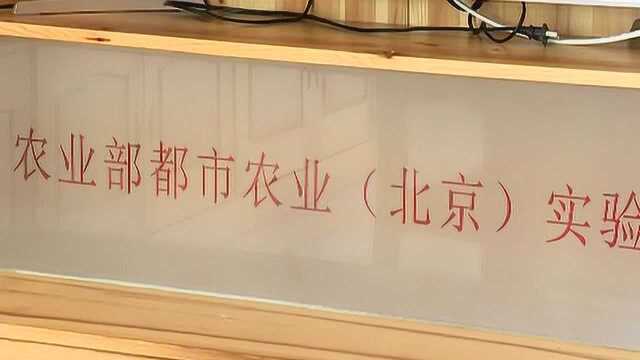 延庆区农村人居环境整治工作成效显著