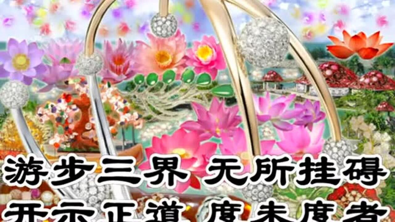《佛说无量寿庄严清净平等觉经》60分钟_高清
